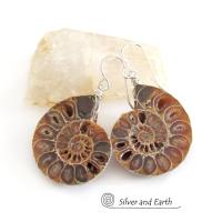 Ammonite Fossil Earrings - Genuine Earthy Natural Fossil Jewelry