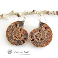 Ammonite Fossil Earrings - Genuine Earthy Natural Fossil Jewelry