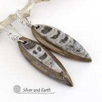 Orthoceras Fossil Earrings with Sterling Silver - Natural Ancient Fossil Jewelry