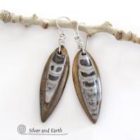 Orthoceras Fossil Earrings with Sterling Silver - Natural Ancient Fossil Jewelry