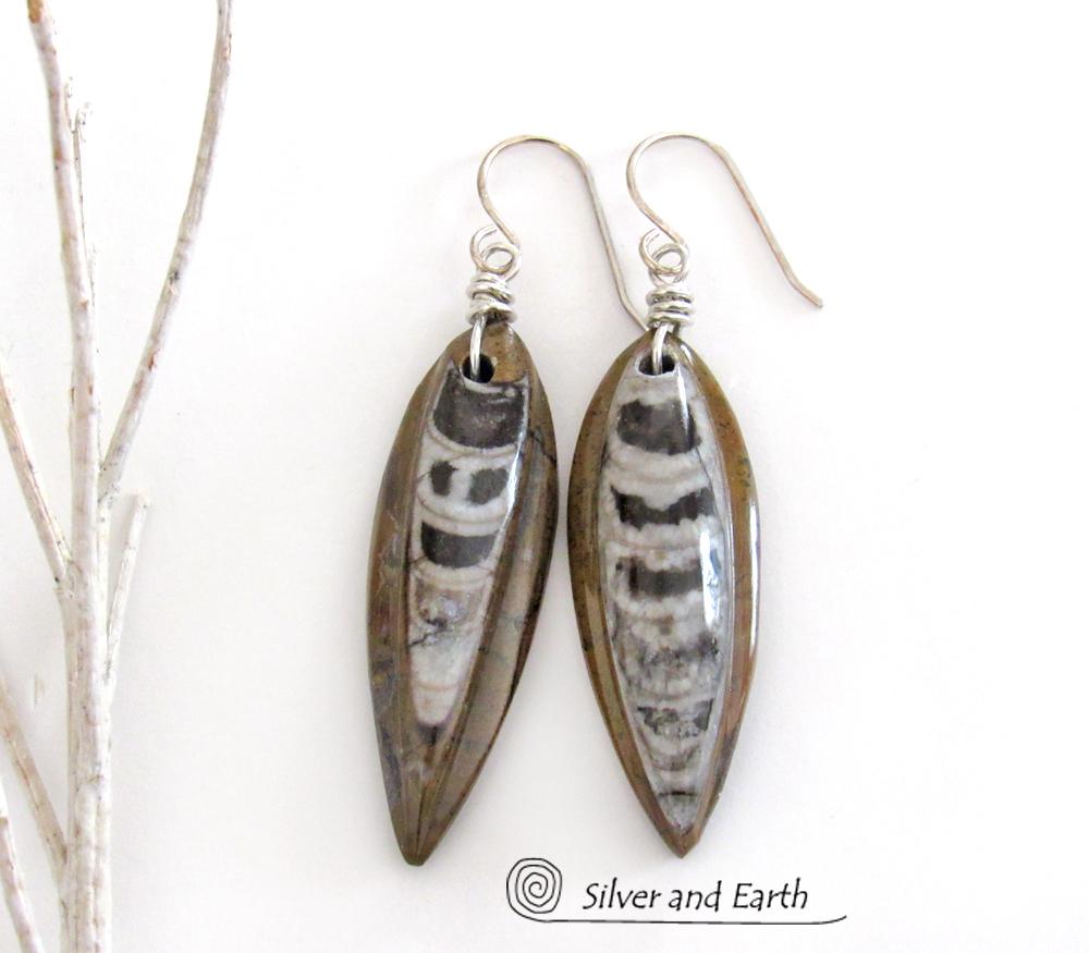 Orthoceras Fossil Earrings with Sterling Silver - Natural Ancient Fossil Jewelry