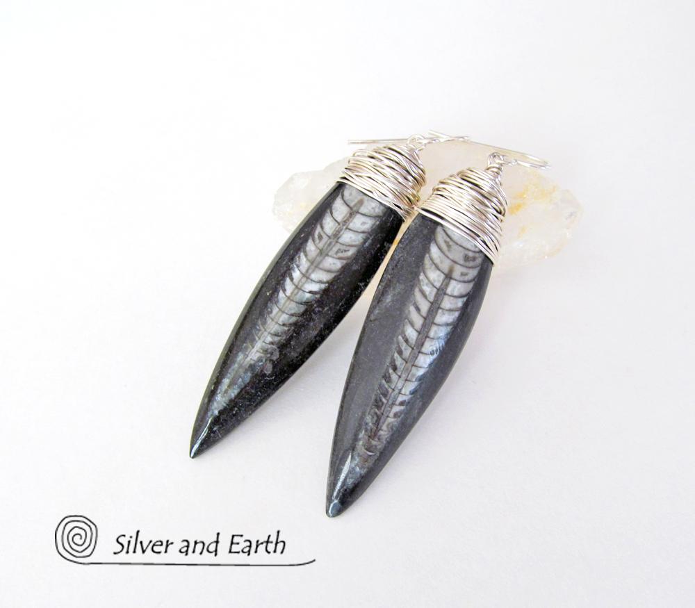 Orthoceras Fossil Earrings Wrapped in Sterling Silver - Ancient Fossil Jewelry