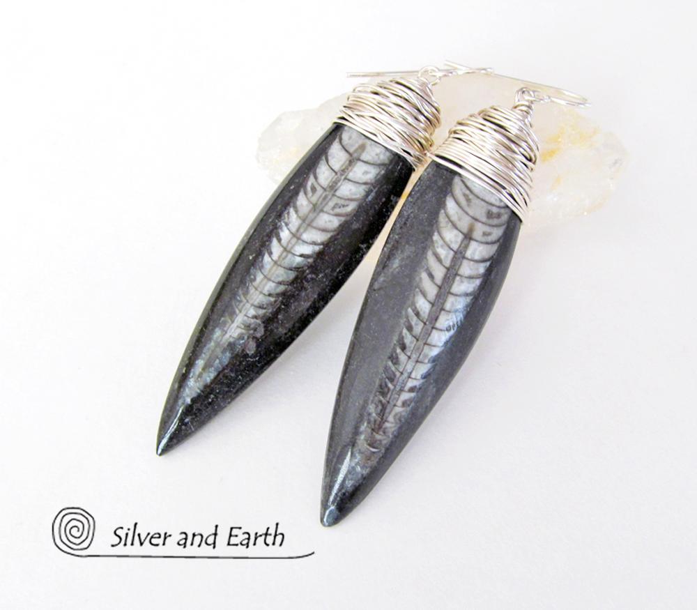 Orthoceras Fossil Earrings Wrapped in Sterling Silver - Ancient Fossil Jewelry
