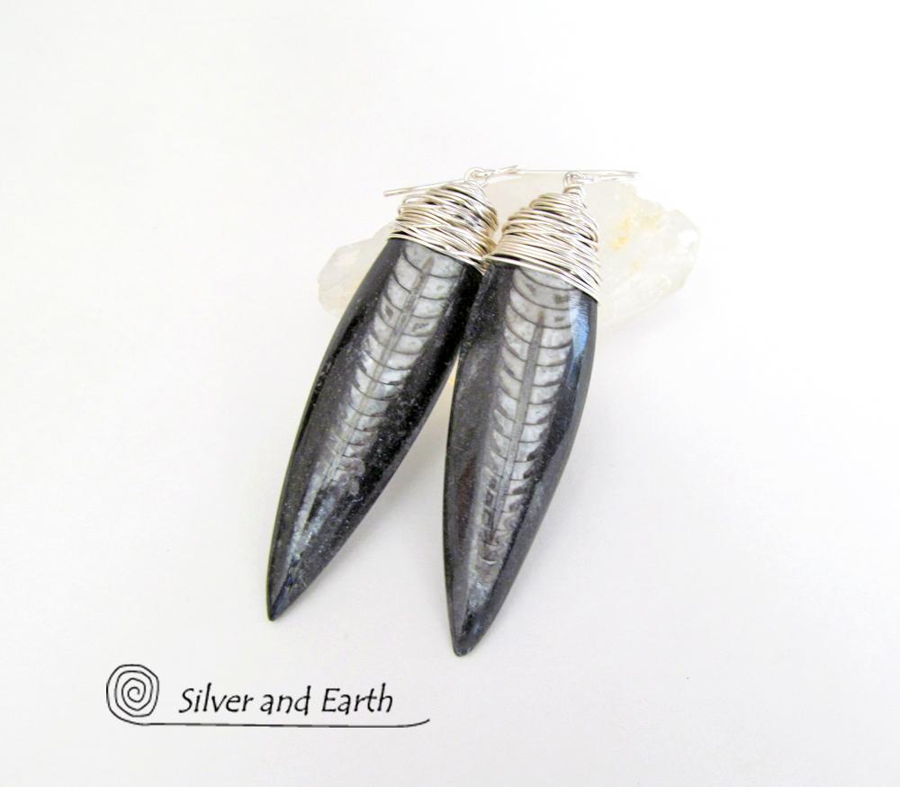 Orthoceras Fossil Earrings Wrapped in Sterling Silver - Ancient Fossil Jewelry