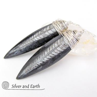 Orthoceras Fossil Earrings Wrapped in Sterling Silver - Ancient Fossil Jewelry