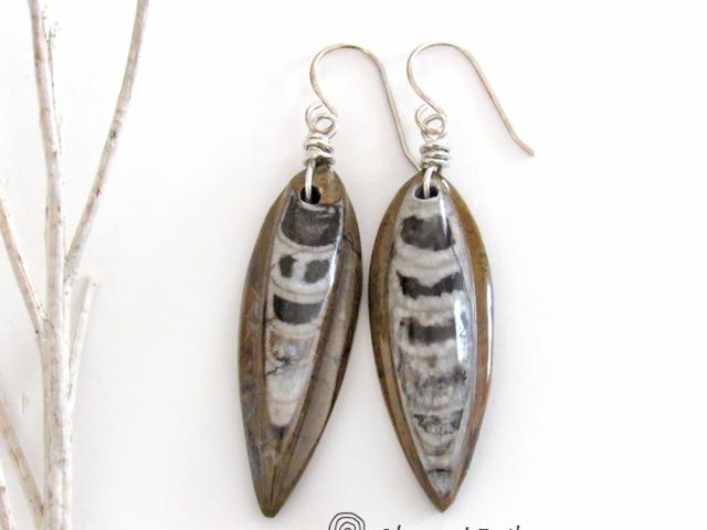 Orthoceras Fossil Earrings with Sterling Silver - Natural Ancient Fossil Jewelry