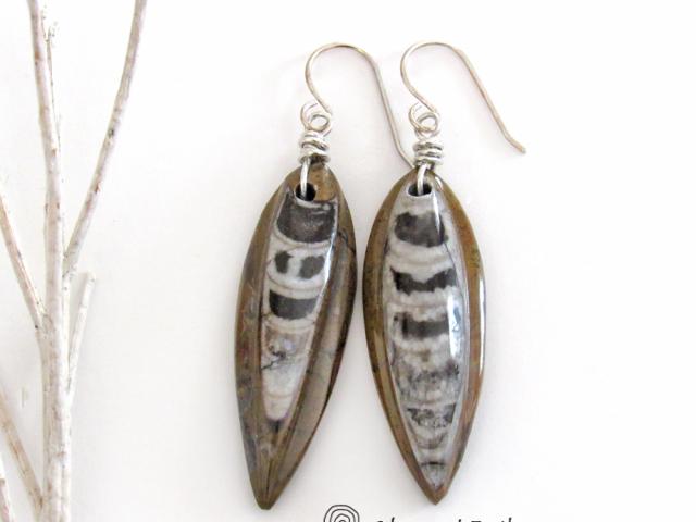 Orthoceras Fossil Earrings with Sterling Silver - Natural Ancient Fossil Jewelry